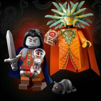 LEGO® Minifiguren Dungeons & Dragons® (71047)