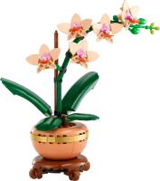 LEGO® Botanicals Mini-Orchidee (10343)