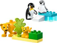 LEGO® DUPLO Wildtier-Familien: Pinguine und Löwen (10442)