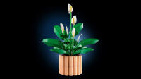 LEGO® Botanicals Friedenslilie (11504)
