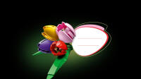 LEGO® Botanicals Tulpenstrauß (11501)