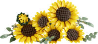 LEGO® Botanicals Sonnenblumen (11502)