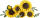LEGO® Botanicals Sonnenblumen (11502)